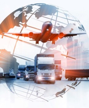 International import and export of goods - Customs tax declaration service