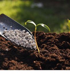 Hóa Chất Nông Nghiệp